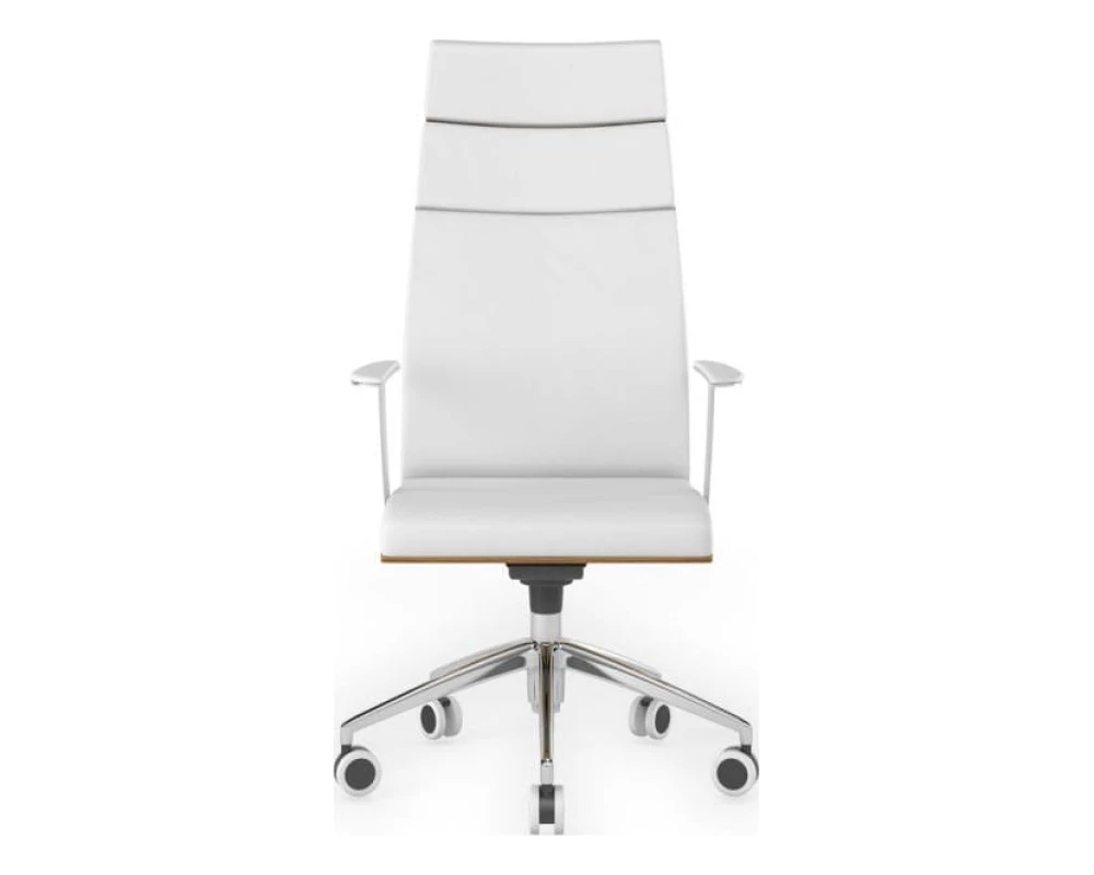 Кресло руководителя Алтея