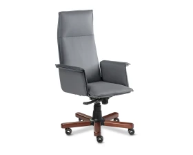 Кресло Epsilon Luxe A images