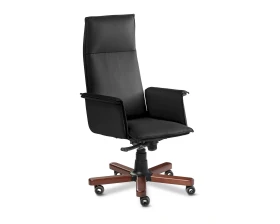 Кресло Epsilon Luxe A images