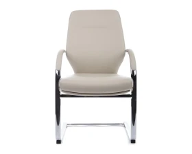 Кресло RV ДИЗАЙН Алонзо-СФ / Alonzo-CF (С1711) images