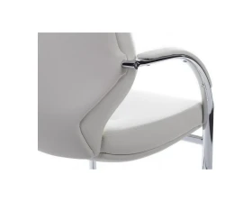 Кресло RV ДИЗАЙН Алонзо-СФ / Alonzo-CF (С1711) images