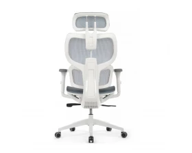 Кресло руководителя RV DESIGN Argo (W-228) images