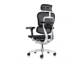 Кресло Ergohuman Elite 2 подлокотники 4D images