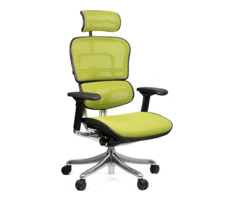 Кресло Ergohuman PLUS